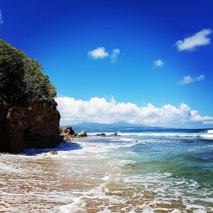 Charmant Et Spacieux Studio A 50M De La Plage Le Diamant Extérieur photo